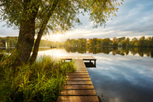 Lake, water, Fünfseenland, Lake Weßlinger See, jetty, tree, atmosphere, back light, sunrays, morning, Lake, water, Fünfseenland, Lake Weßlinger See, jetty, tree, atmosphere, back light, sunrays, morning,